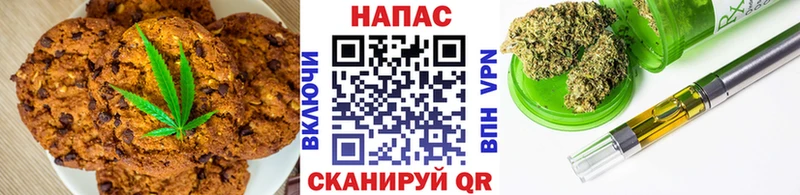 где найти наркотики  Новошахтинск  Cannafood конопля 