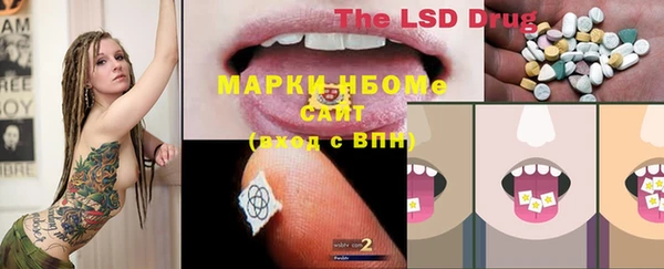 гидра Горнозаводск