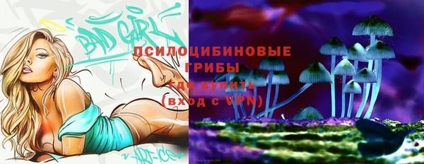 сатива Горно-Алтайск