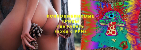 гидра Горнозаводск